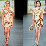 Estampas de Porcelana 