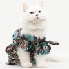 Gatinhos Fashionistas