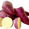 Beneficios da Batata Doce