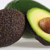 Abacate e o Avocado