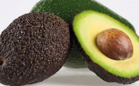 Abacate e o Avocado